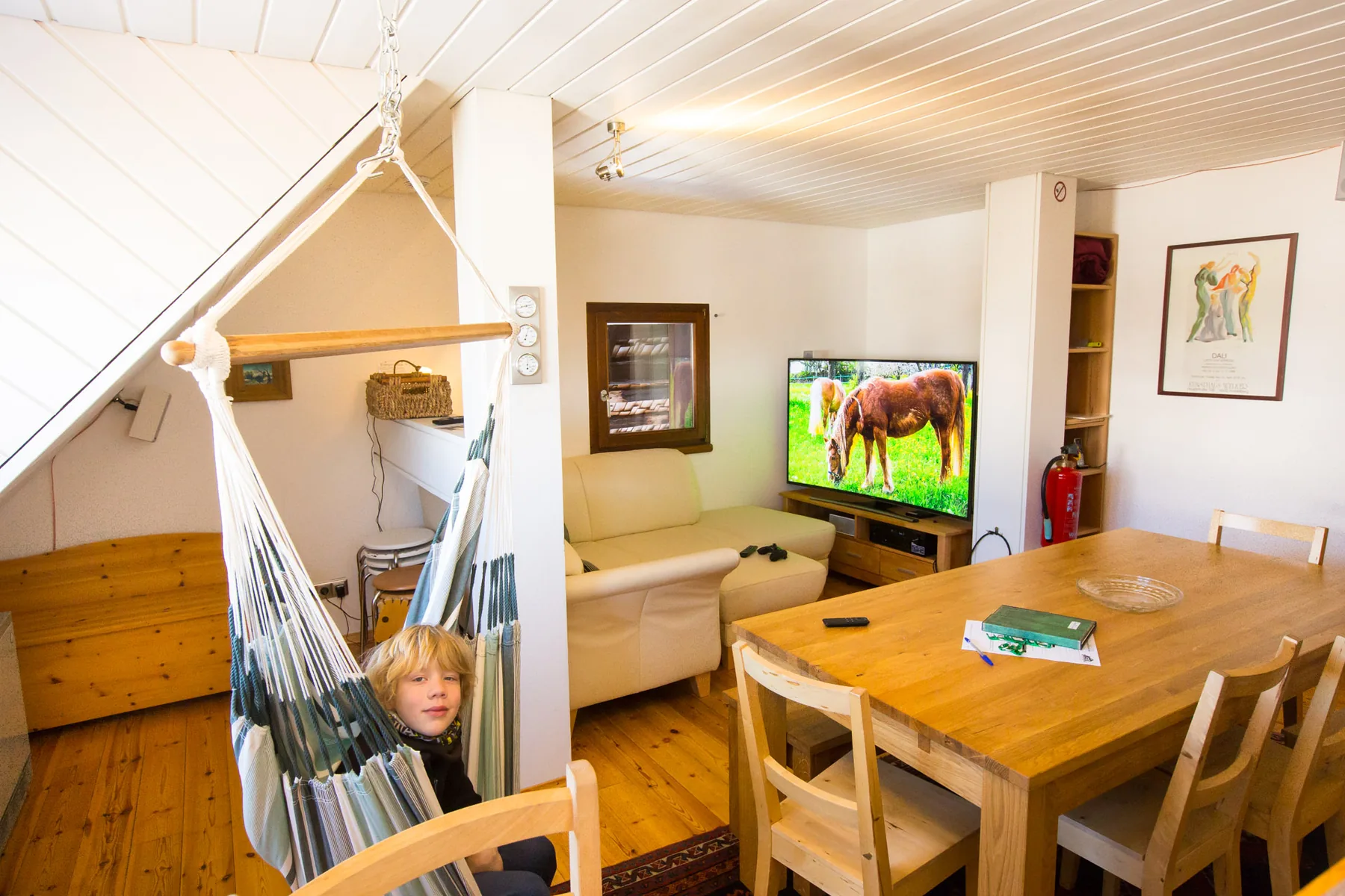 Comfortable family apartment with hanging chair